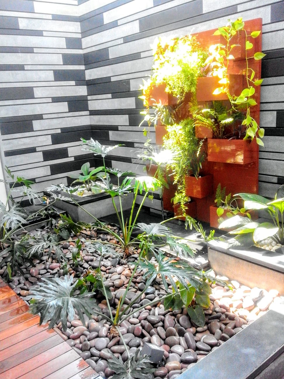 Indoor Vertical Garden